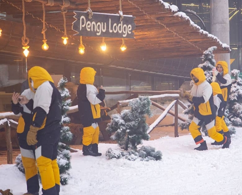 penguin-snow-park-1 پارک پنگوئن کیش اولین پارک برفی ایران در جزیره کیش