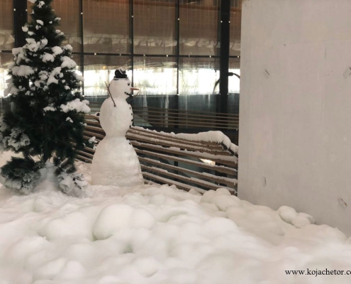 penguin-snow-park-kish ساخت آدم برفی و برف بازی در پارک پنگوئن کیش