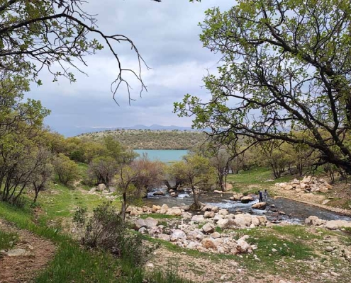 shah-ghasem-dam-lake-1 چشمه سد شاه قاسم یاسوج