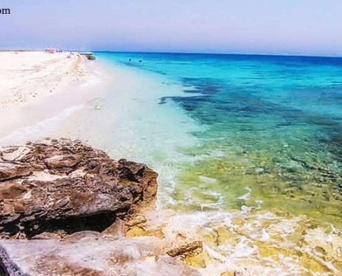 shidvar-island-1 جزیره شیدور کجاست