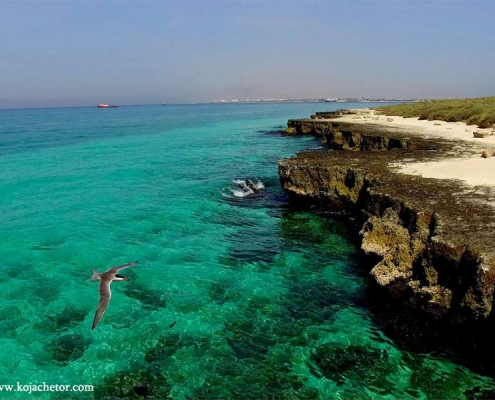 shidvar-island-2 جزیره شیدور