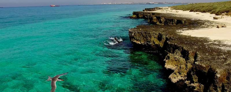 جزیره شیدور