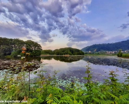 soostan lagoon 1 تالاب سوستان در تابستان