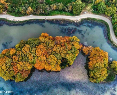 sustan-wetland-1 تالاب سوستان در پاییز