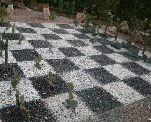 صفحه شطرنج در پارک پرندگان کیش