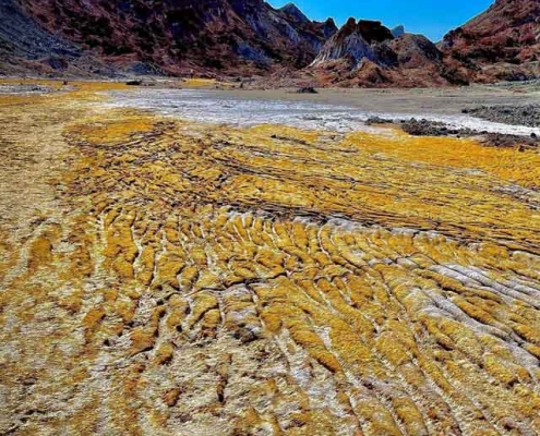 دشت زعفرانی هرمز