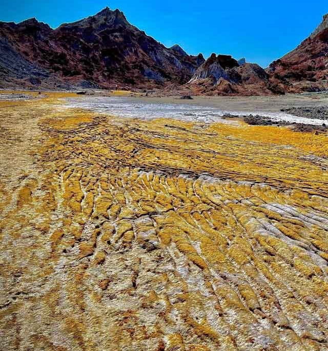 دشت زعفرانی هرمز