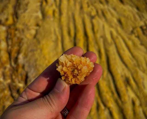 بلور نمک زعفرانی در هرمز