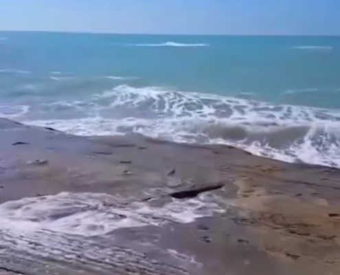 ab feshan sahel bandar mogham 2 آبفشان ساحل مقام از جاذبه های بندر مقام