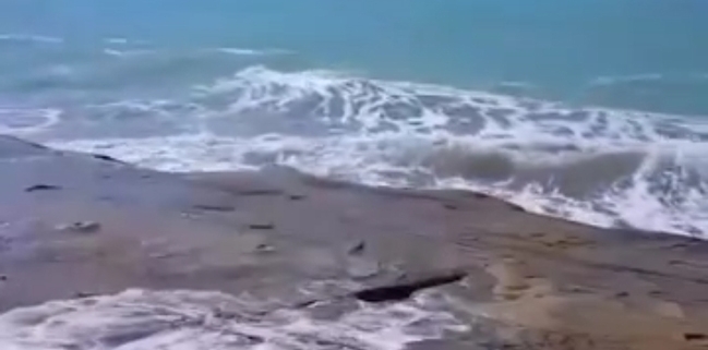 آبفشان ساحل مقام از جاذبه های بندر مقام