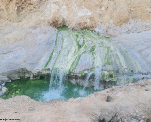 abdarmani-bandarabas چشمه آب معدنی تدرویه در بستک