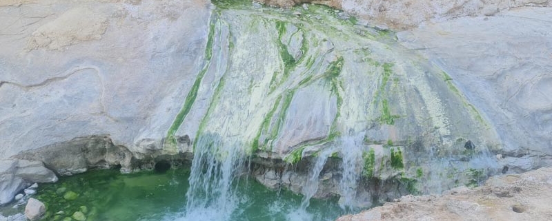 چشمه آب معدنی تدرویه در بستک