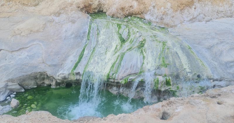 چشمه آب معدنی تدرویه در بستک