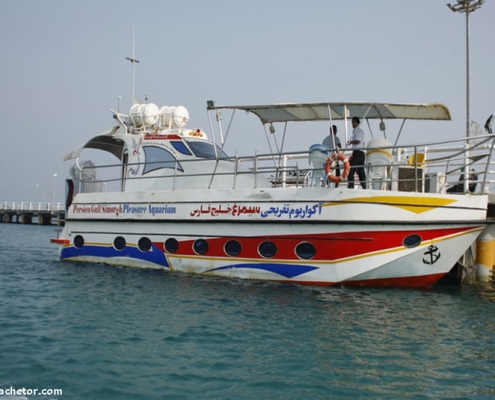 kish-aquarium-4 کشتی آکواریوم تفریحی کیش انواع گوناگونی دارد