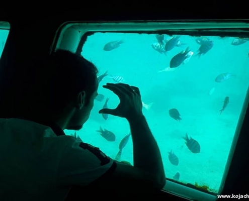 kish-aquarium-5 آکواریوم کیش در همه فصول قابل بازدید است زیرا سربسته است