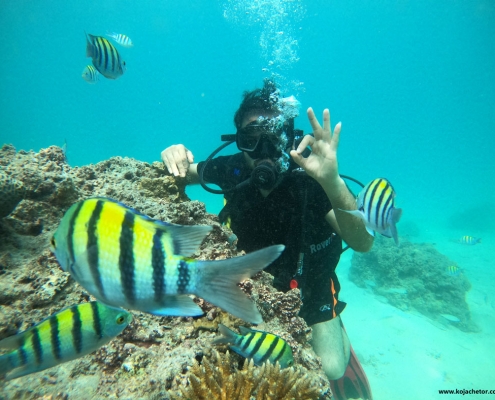 غواصی در آب های خلیج فارس در جزیره کیش