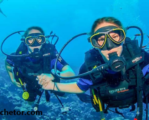 کلوپ 5 ستاره مارینا در ساحل جزیره کیش از کلوپ های برتر غواصی در کیش است