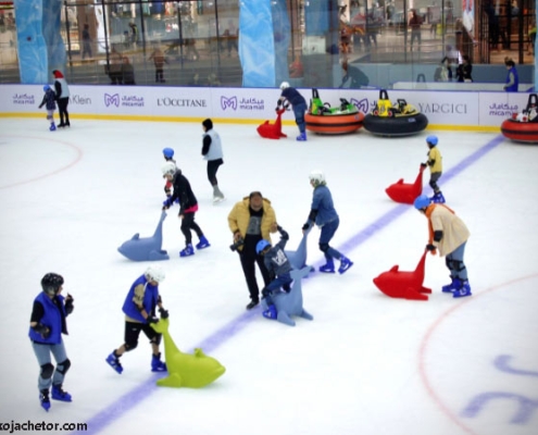 micamall-icering اسکی روی یخ و پاتیناژ در میکامال کیش