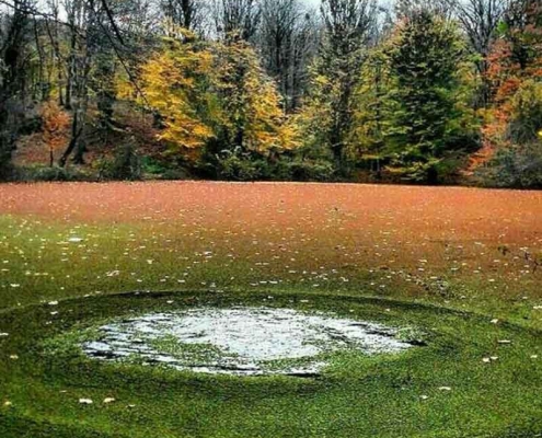 pond-vareben-8 مرداب وربن