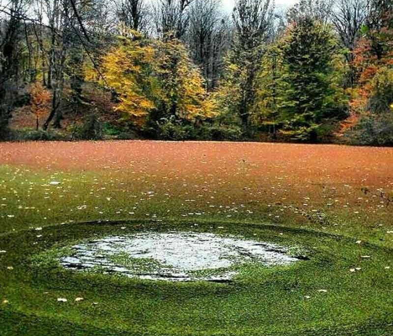 pond-vareben-8 مرداب وربن در پاییز مازندران
