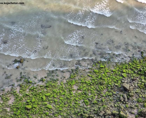 turtles-beach--(2) ساحل لاک پشت ها در جزیره هرمز