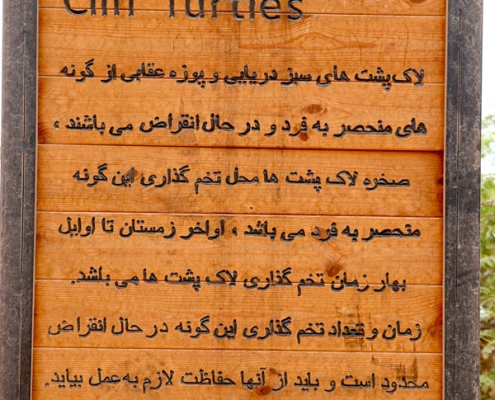 turtles-beach--(3) تابلوی ورودی ساحل لاک پشت ها هرمز