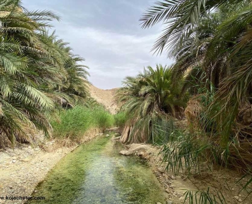 چشمه-باغویه-بندرلنگه-شیبکوه چشمه باغویه بندرلنگه شیبکوه