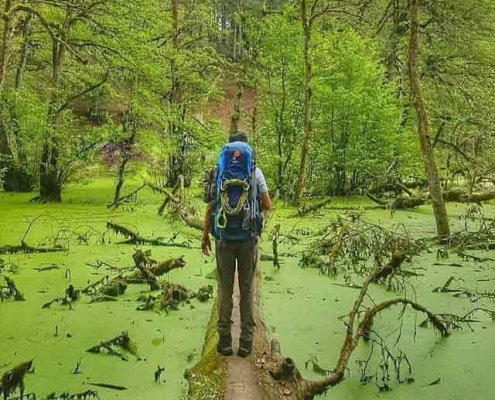 مرداب دیوک یا دریوک در عباس آباد کلاردشت