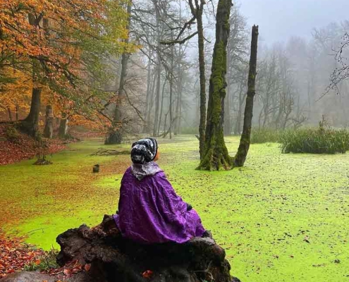 مرداب دیوک یا دریوک در مازندران