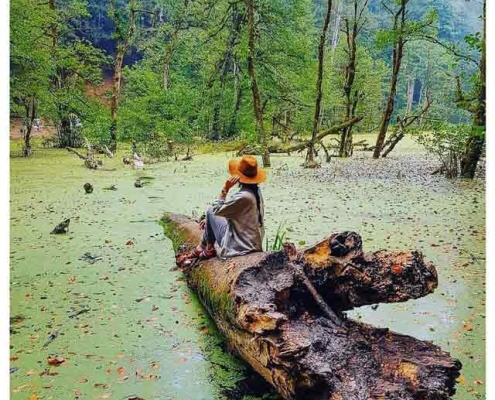 مرداب دیوک یا دریوک کلاردشت