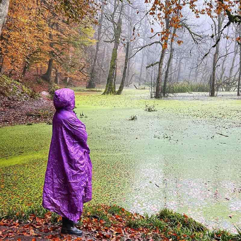 مرداب دیوک کجاست