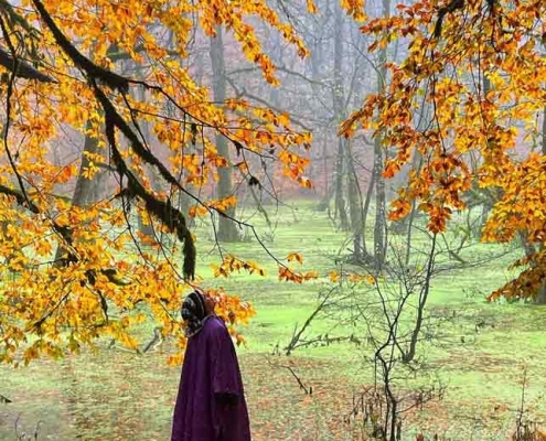 مرداب دیوک یا دریوک مازندران