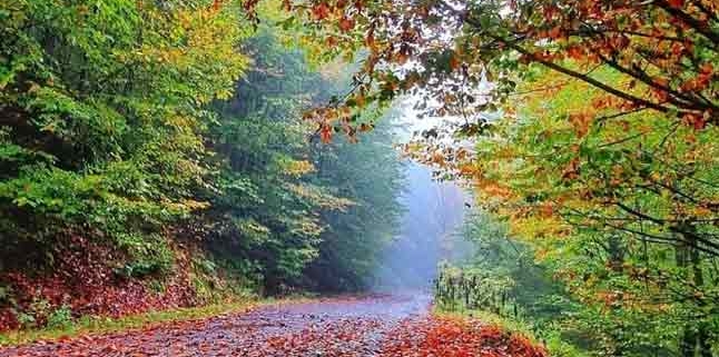 جاده پاییزی روستا و جنگل درازنو