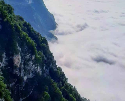 Derazno-cloud-jungle-1 جنگل ابر درازنو