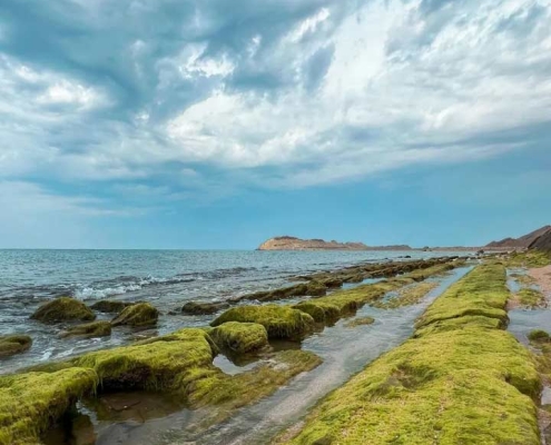 ساحل دستیر | منبع عکس: اینستاگرام tiny.tour ساحل دستیر دشتی پارسیان