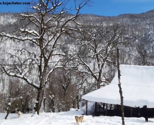 esperez-village-4 زمستان اسپرز سوادکوه مازندران