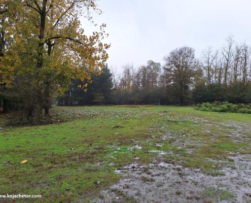 kacha-gilan-(4) کچاء سراوان