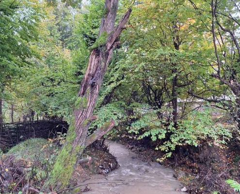 kacha-gilan-(5) جویبار ها و رودخانه ها در روستای کچاء