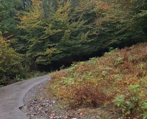 kacha-gilan-(8) جاده کچاء گیلان