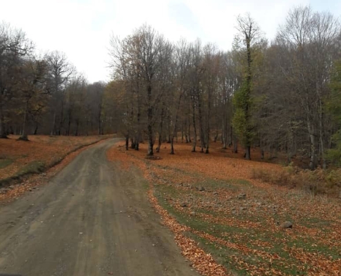جاده مازیچال مازندران