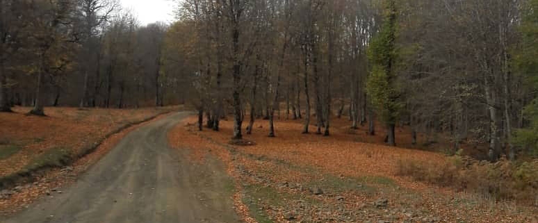 جاده مازیچال مازندران