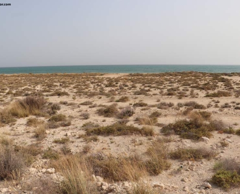 ساحل نیرم هم شنی است و هم صخره ای