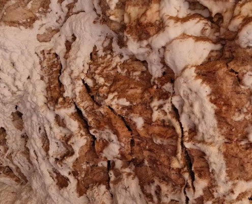 نمک های موجود در غار نمکدان قشم تشکیل استالاگمیت و استالاکتیت داده اند.