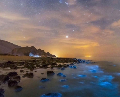 سواحل شب تابی بندر تنگ چابهار