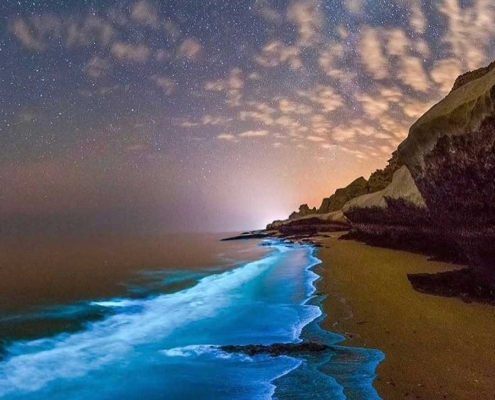 ساحل تنگ چابهار