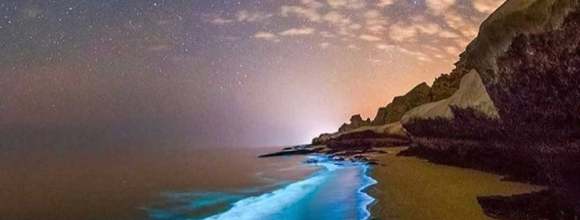 ساحل تنگ چابهار