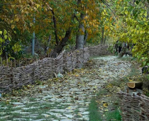 eco-park-dare-farahzad-tehran-(1) اکو پارک دره فرحزاد تهران