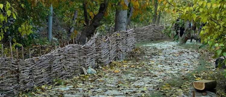 اکو پارک دره فرحزاد تهران