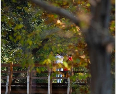 eco-park-dare-farahzad-tehran-(9) اکو پارک دره فرحزاد تهران منطقه 2 و 5