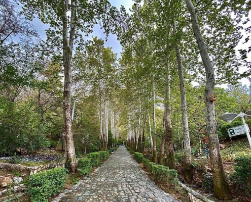 jamshidiyeh-park-tehran-(3) پیاده روی در مسیر های پارک جمشیدیه تهران منطقه 1 نیاوران